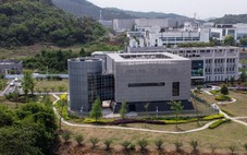 Trung Quốc có loại thuốc COVID-19 'trị' được virus Nipah chết người