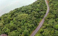 Thanh tra việc chuyển mục đích sử dụng rừng làm nhà máy xử lý rác Côn Đảo