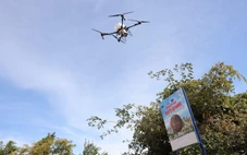 Mang ‘lộc xanh’ đến Vườn quốc gia Núi Chúa - Phước Bình