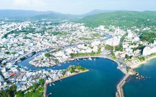 Phú Quốc chủ động phòng ngừa vi rút Nipah