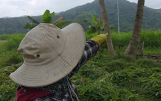 Máy bay quân sự rơi trên vùng núi, phi công nhảy dù an toàn