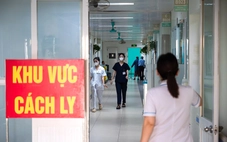 Cục Chăn nuôi và Thú y: Bệnh Nipah có thể bị lây qua heo, chó, mèo