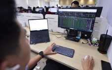 Cắt mạch giảm 7 phiên, VN-Index lấy lại sắc xanh trên diện rộng