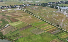 Điều tra, đánh giá đất đai chưa được các địa phương quan tâm đúng mức