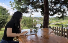 Có ai từng bị khiển trách chỉ vì không trả lời tin nhắn trong nhóm chat lúc nửa đêm chưa?