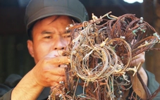 Từ ‘dân nghe’ sang ‘dân làm’ trong bảo vệ thú rừng và bảo tồn đa dạng sinh học