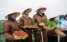 Get on Hanoi mở màn cho 'Hành trình tươi xanh 2026'