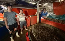 Ốc bươu ngâm ‘thủy tinh lỏng’, đã tiêu thụ 3.000 tấn; Khi nào tăng lương cơ sở?