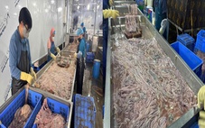 Phát hiện cơ sở trữ, chế biến hàng chục tấn lòng heo không rõ nguồn gốc ở Hà Nội