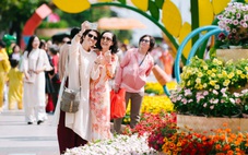 Thời tiết hôm nay 31-1: Không khí lạnh mạnh tràn về nước ta