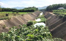 Đất chưa bàn giao thực địa đã thi công, thủy điện Sông Liên bị xử phạt