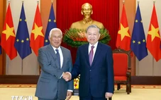 Đối tác trụ cột