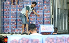 Nông sản khó thông quan khi triển khai quy định mới: Bộ Y tế nói gì?