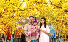 Check-in tại Lễ hội Tết Việt Bính Ngọ TP.HCM 2026 trước ngày khai mạc