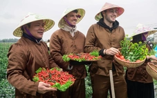 Get on Hanoi mở màn cho 'Hành trình tươi xanh 2026'