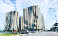 Loạt dự án nhà ở xã hội 1.000 tỉ ở Đà Nẵng 'chạy' chỉ trong 1 tháng nhờ 'luồng xanh'