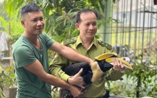 Tất bật tiếp nhận và cứu chữa động vật hoang dã do người dân TP.HCM giao nộp