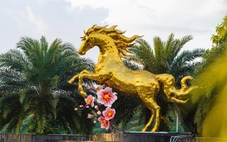 'Cha đẻ hoa hậu mèo Quảng Trị' làm linh vật ngựa ở sân bay Đà Nẵng