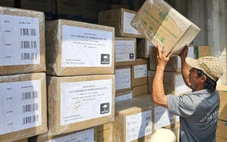 Dược liệu OCOP 5 sao Quảng Trị mở thành công đường xuất khẩu chính ngạch sang Mỹ