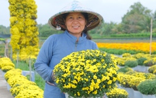 Cảnh báo fanpage mạo danh cuộc thi Mái ấm ngày xuân của báo Tuổi Trẻ