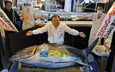 Hơn 3,2 triệu USD một con cá ngừ: Thương vụ mở màn năm mới gây choáng ở chợ Toyosu