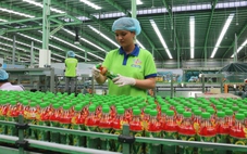 Doanh nghiệp Cần Thơ thưởng Tết Nguyên đán chưa bằng ⅓ năm ngoái