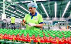 Doanh nghiệp Cần Thơ thưởng Tết Nguyên đán chưa bằng 1/3 năm ngoái