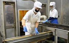 Doanh nghiệp Nhật Bản tìm cách giữ chân lao động nước ngoài