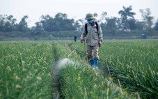 Điểm mới trong danh mục thuốc bảo vệ thực vật được phép sử dụng tại Việt Nam
