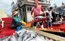 Gỡ 'nút thắt' thủy sản vào Mỹ