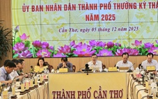 Chủ tịch Cần Thơ phân công từng thành viên UBND thành phố theo dõi 103 xã, phường