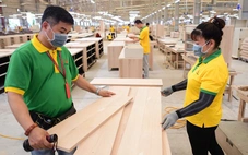 'Make in Vietnam': lựa chọn chiến lược