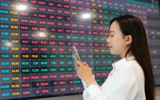 VN-Index lập kỷ lục 1.816 điểm, thanh khoản tăng mạnh
