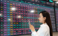 VN-Index lập kỷ lục 1.816 điểm, thanh khoản tăng mạnh