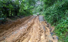Quảng Trị ra hạn chót để doanh nghiệp điện gió nộp tiền 'giải cứu' tuyến đường ngập ngụa bùn