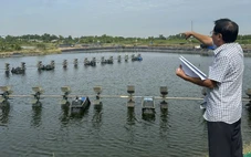 1,8 ha đất đang thế chấp bỗng đổi chủ, cơ quan điều tra xử lý tố cáo một thẩm phán tại Cà Mau