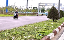 Cửa ngõ Cần Thơ đầy cỏ dại, rác thải: Thành phố lên kế hoạch 'đại chỉnh trang'