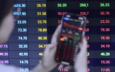 Cổ phiếu giảm giá mạnh nhất sàn HoSE năm qua: Nếu rót 1 tỉ mất hơn 600 triệu