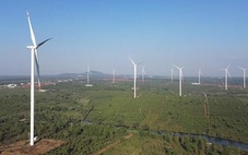 Ba dự án điện gió hơn 19.000 tỉ đồng tại Gia Lai được nhà đầu tư quan tâm