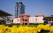 Hình ảnh tại sân khấu Sen Hồng sắp được trưng dụng làm bãi xe metro