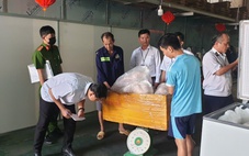 TP.HCM: Phát hiện 2 tấn thịt heo không rõ nguồn gốc, biến
đổi màu sắc