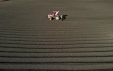 Đẹp hút mắt, mùa phơi cà phê 'phủ nâu' Tây Nguyên đại ngàn