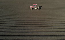 Đẹp hút mắt, mùa phơi cà phê 'phủ nâu' Tây Nguyên đại ngàn