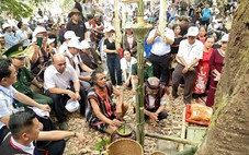 'Sức mạnh mềm' thúc đẩy du lịch qua lăng kính văn hóa ẩm thực
