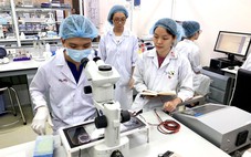 Tìm người giỏi nhất để giao những việc lớn