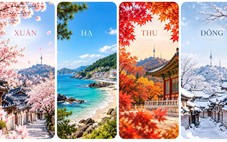 AdenZ Travel triển khai chương trình hỗ trợ khách xin visa Hàn Quốc nhiều lần