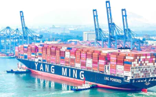 Cái Mép hút tàu container thế hệ mới, sức chở 15.500 TEU