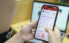 Sẽ không tạm hoãn xuất cảnh với người bị mạo danh lập doanh nghiệp