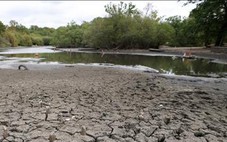 El Nino có thể mạnh nhất hơn 70 năm, đỉnh điểm vào tháng 12
