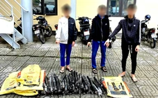 Ba thiếu niên 14 - 17 tuổi trộm cáp điện ngầm gần 240 triệu đồng